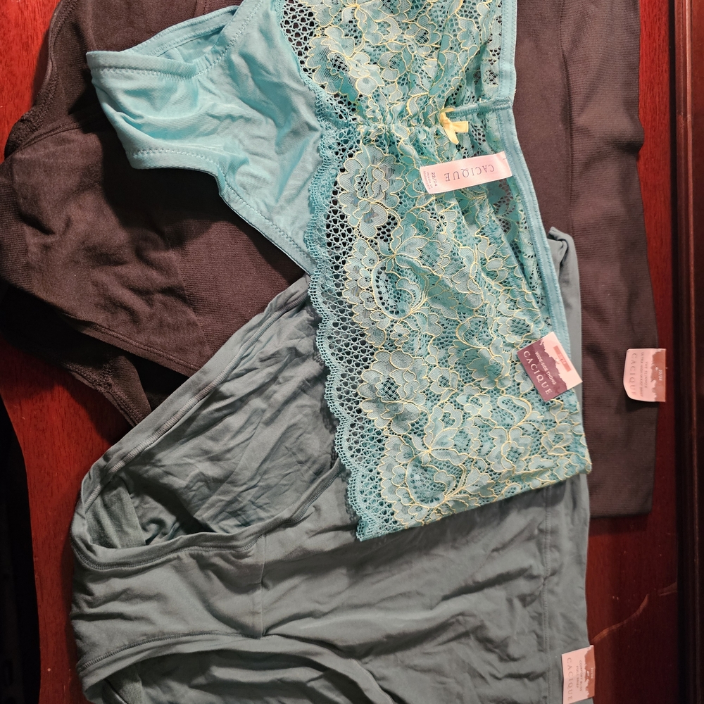 3 Pair Lane Bryant Panties 22/24